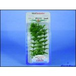 Tetra Ambulia 15 cm – Hledejceny.cz