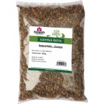 Řepa krmná Rosteto - Rekord Poly 400 g červená – Zboží Dáma