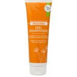 Inodorina šampon pro krátkosrsté 250 ml – Hledejceny.cz