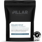 Pillar Collagen Repair 250 g – Hledejceny.cz