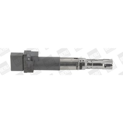 Zapalovací cívka BorgWarner (BERU) ZSE063 – Hledejceny.cz