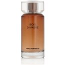 Karl Lagerfeld Bois d´Ambre toaletní voda pánská 100 ml