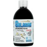 Orling Chondrocan Forte Biosol 500 ml – Hledejceny.cz