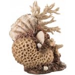 BiOrb Coral-Shells Ornament natural 22 cm – Zboží Dáma