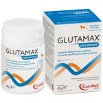 GlutaMax Advanced 12 x 10 tbl – Hledejceny.cz