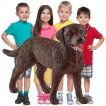 Schleich fena retrievera – Sleviste.cz