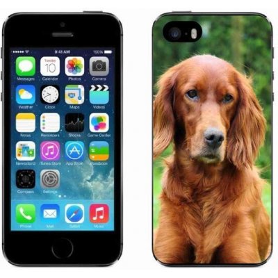 Pouzdro mmCase Gelové iPhone 5/5s - irský setr – Zboží Mobilmania