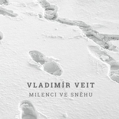 Milenci ve sněhu - Vladimír Veit