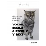 Kecy mírně přidrzlýho kocoura – Zboží Dáma