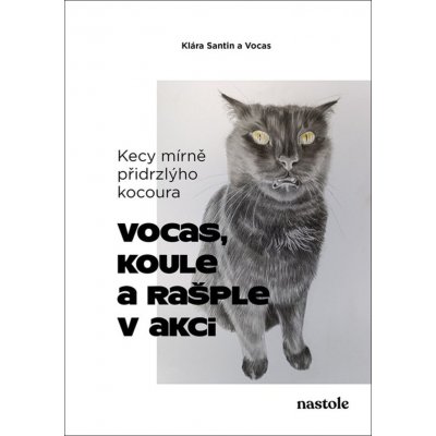 Kecy mírně přidrzlýho kocoura – Zboží Dáma