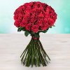 Květina Rozvoz květin: dlouhé červené růže - 90cm (xxl) - cena za 1ks - praha