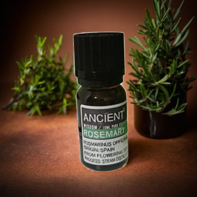 Ancient Rosemary esenciální olej 10 ml – Hledejceny.cz