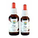 Salvia Paradise Čaga Rezavec šikmý AF tinktura 30 ml – Hledejceny.cz