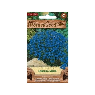 Semínka MoravoSeed Lobelka drobná nízká, modrá 02432