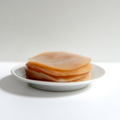 PLANTO Kombucha - čajová houba PO-KO-1KS – Zboží Dáma