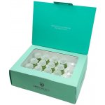 Revlon Eksperience Treatment Sebum Control SOS scalp Balancing Lotion 12x7 ml – Hledejceny.cz