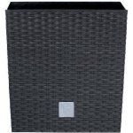 Prosperplast RATO LOW Květináč 17x17x17 cm ratan antracit – Zboží Dáma
