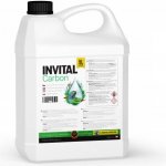 Invital Carbon 5 l – Zboží Mobilmania