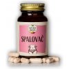 Spalovač tuků NaturalProtein - Spalovač tuků 60 kapslí