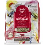 Sunday Pets Gentle Bake Adult Small & Medium Breed Beef 1,3 kg – Hledejceny.cz