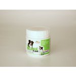 Orling Gelacan Fast 500 g – Zboží Dáma