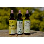 Kombinace pro řezané květiny Balíček Bachovy květové esence 3 x 20 ml – Hledejceny.cz