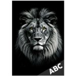 Desky na ABC Lev – Zboží Mobilmania