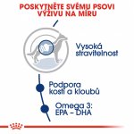 Royal Canin Maxi Adult 2 x 15 kg – Zboží Mobilmania