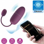 Pretty Love Nymph Vibrating Egg with App Global Remote Control Series Purple – Sleviste.cz