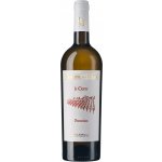 Di Camillo Tenute del Pojo le Coste Pecorino 13% 0,75 l (holá láhev) – Hledejceny.cz