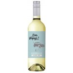 Bon Voyage Sauvignon Blanc 0,5% 0,75 l (holá láhev) – Zboží Mobilmania