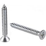 Šroub do plechu se zapuštěnou hlavou Phillips pr. 3,9x38mm, ostrá špička, DIN 7982C, ocel, zinek bílý, (100ks) – Zbozi.Blesk.cz