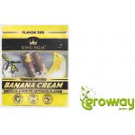 King Palm ochucené filtry Banana Cream 2 ks – Zbozi.Blesk.cz