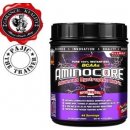 Allmax Aminocore 400 g