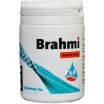 Brainway Brahmi 100 kapslí – Hledejceny.cz