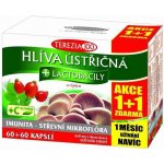 Terezia Company Hlíva ústřičná s lactobacily 120 tablet – Zboží Mobilmania