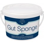 Protexin Gut Sponge pro koně 1,5 kg – Zboží Mobilmania