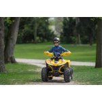 Lamax eBumbleBee ATV60M | Zboží Auto