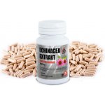 Valknut Echinacea extrakt 400 mg 120 kapslí – Hledejceny.cz