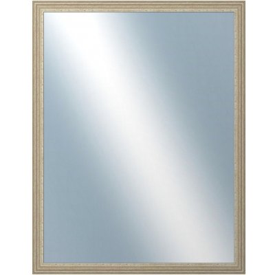 DANTIK LYON 70x90 cm stříbrná 2704 – Hledejceny.cz
