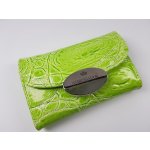 Ambassador manikúra Solingen EVERGLADE zelená 5 dílů 8518/60 – Sleviste.cz