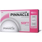 Pinnacle Soft – Zbozi.Blesk.cz