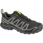 Salomon pánské sportovní boty Xa Pro 3D V9 Gore-Tex – Zboží Mobilmania