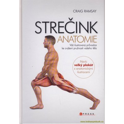 Strečink - anatomie – Zboží Mobilmania