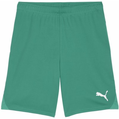 Puma teamGOAL Shorts – Zboží Mobilmania