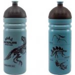 Zdravá lahev T-Rex 700 ml – Zboží Dáma