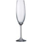 Crystalite Bohemia Sklenice na šampaňské COLIBRI 220 ml – Zboží Mobilmania