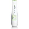 Šampon Matrix Biolage Normalizing Clean Reset Shampoo 250 ml