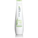 Matrix Biolage Normalizing Clean Reset Shampoo 250 ml