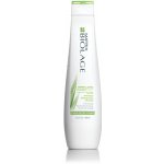 Matrix Biolage Normalizing Clean Reset Shampoo - Čisticí šampon 250 ml
